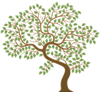 Washington State Coalition Against Domestic Violence