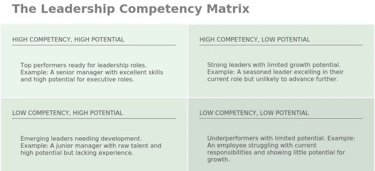 leadership-competency-matrix-visual